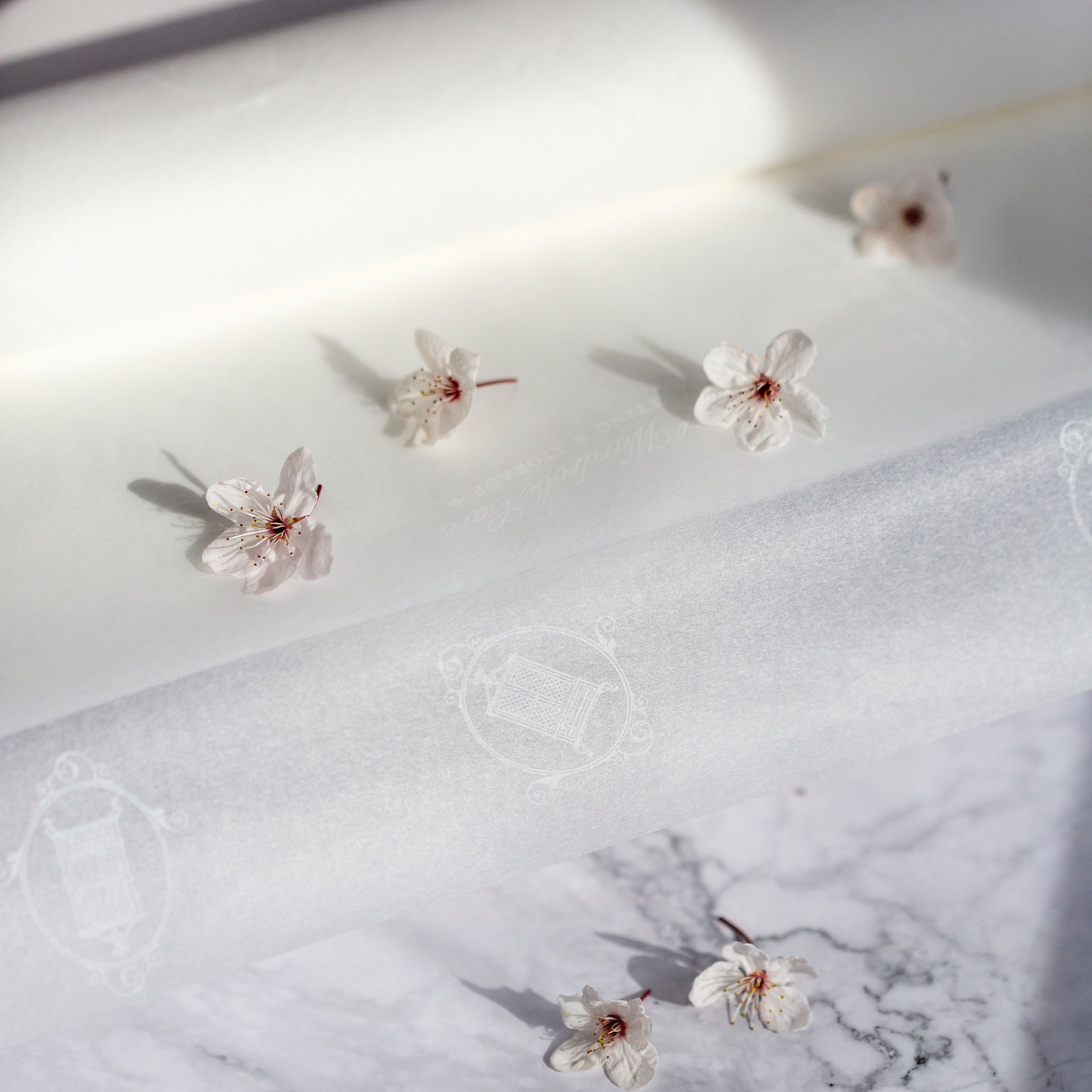 Acid-free tissue paper with Total Wardrobe Care branding on sheet and 4 cherry blossom flowers lined out