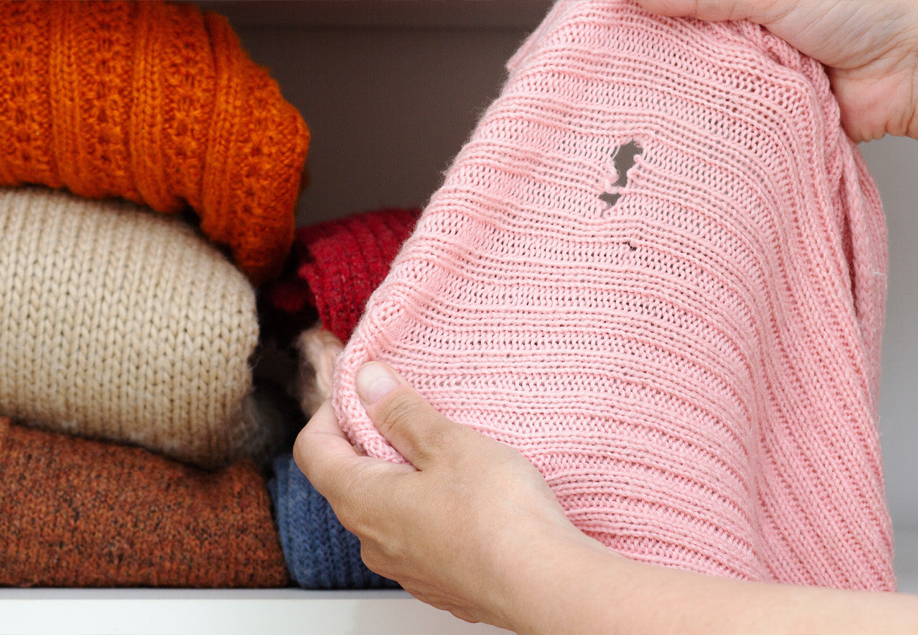 Pink garment with holes from clothes moths