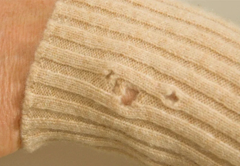 moth hole