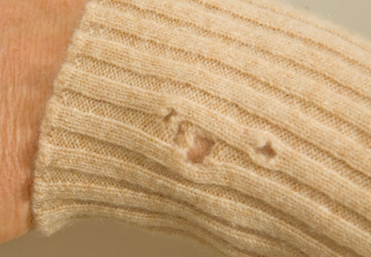 Sleeve of jumper with moth holes | Do you have moths?