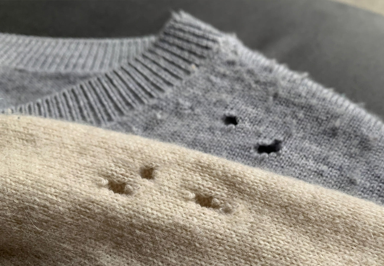 Image if jumpers with moth holes signalling a moth infestation